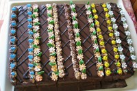 /album/fotogalerie-rolady-rezy/img-1953-jpg/