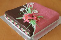 /album/fotogalerie-dorty/a9-jpg/