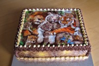 /album/fotogalerie-dorty/img-2562-jpg/