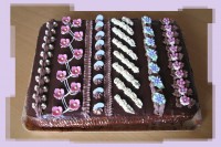 /album/fotogalerie-rolady-rezy/img-5493-jpg/