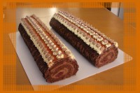 /album/fotogalerie-rolady-rezy/img-6156-jpg/