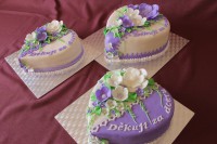 /album/fotogalerie-dort-srdce/img-0333-jpg1/