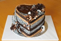 /album/fotogalerie-dort-srdce/img-5022-jpg1/