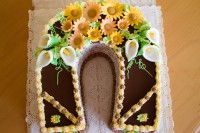 /album/fotogalerie-dort-podkova/a1942a-jpg1/