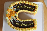 /album/fotogalerie-dort-podkova/img-0157-jpg1/