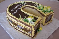 /album/fotogalerie-dort-podkova/img-2232-jpg1/