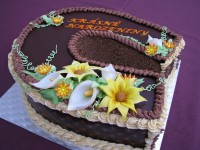 /album/fotogalerie-dort-podkova/img-2555-jpg1/