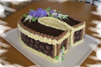 /album/fotogalerie-dort-podkova/img-6149-jpg1/