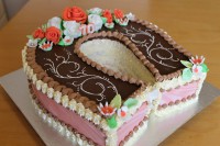 /album/fotogalerie-dort-podkova/ing-201783-20-20kopie-jpg/