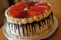 /album/fotogalerie-dort-kulaty/a17-jpg1/