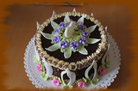 /album/fotogalerie-dort-kulaty/img-0166-jpg1/