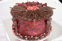 /album/fotogalerie-dort-kulaty/img-2264-jpg1/