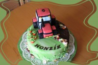 /album/fotogalerie-dort-kulaty/img-5961-jpg1/