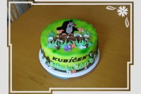 /album/fotogalerie-dort-kulaty/img-6227-jpg1/