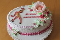 /album/fotogalerie-dort-elipsa/img-0002-jpg/