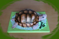 /album/fotogalerie-dort-elipsa/img-6212-jpg/