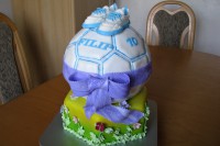 /album/fotogalerie-mic-balon/img-2747-jpg1/