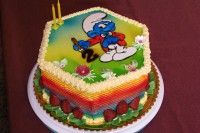 /album/fotogalerie-dort-jine/img-1943-jpg1/