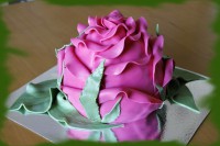 /album/fotogalerie-dort-jine/mg-6679-jpg/