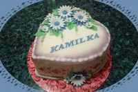 /album/fotogalerie-dort-srdce/fotografie0220-jpg/