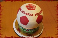 /album/fotogalerie-mic-balon/img-7106-jpg/