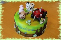 /album/fotogalerie-dort-kulaty/img-7192-jpg/