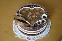 /album/fotogalerie-dort-srdce/a10608607-565835980223921-5452074157783043433-o-jpg/