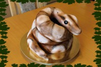 /album/fotogalerie-dort-jine/img-7362-jpg/