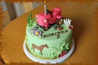 /album/fotogalerie-dort-kulaty/img-7468-jpg/