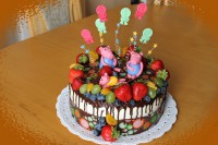 /album/fotogalerie-dort-kulaty/img-7526-jpg/