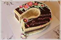 /album/fotogalerie-dort-podkova/img-8258-jpg/