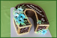 /album/fotogalerie-dort-podkova/img-8286-jpg/