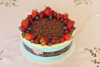 /album/fotogalerie-dort-kulaty/img-8462-jpg/