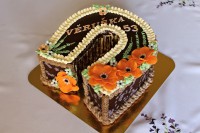 /album/fotogalerie-dort-podkova/img-8589-jpg/