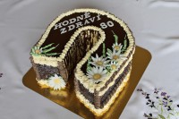 /album/fotogalerie-dort-podkova/img-8586-jpg/