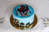 /album/fotogalerie-dort-kulaty/img-8569-jpg/