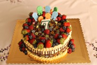 /album/fotogalerie-dort-kulaty/img-8660-jpg/