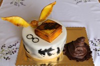 /album/fotogalerie-dort-kulaty/img-9153-jpg/