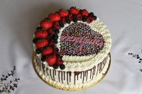 /album/fotogalerie-dort-kulaty/img-9253-jpg/