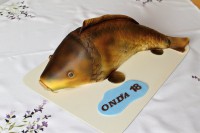 /album/fotogalerie-dort-jine/img-8969-jpg/