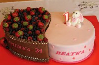 /album/fotogalerie-dort-jine/img-9160-jpg/